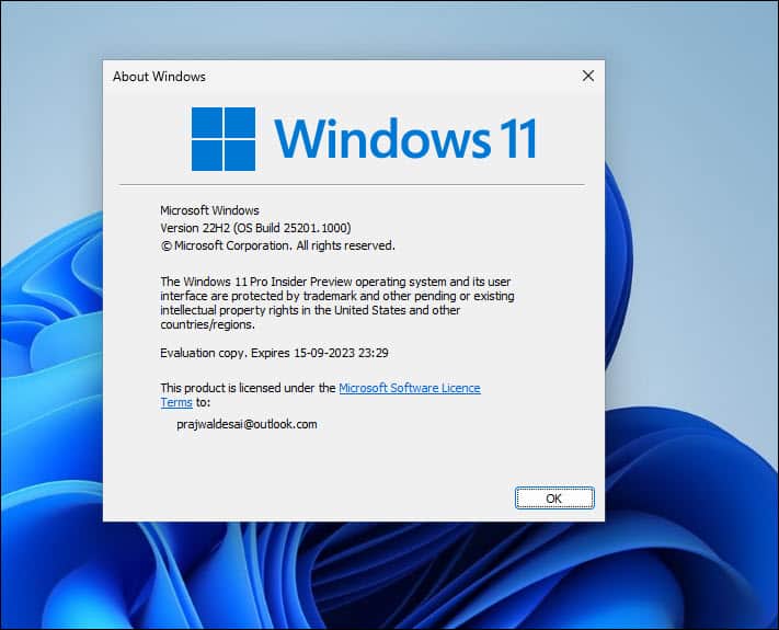 检查Windows 11内部预览构建详细信息